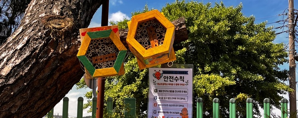 야생벌은 어떤 생물일까요?
